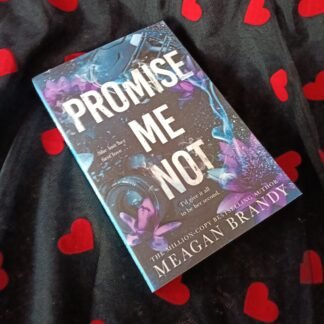 Promise Me Not - Meagan Brandy