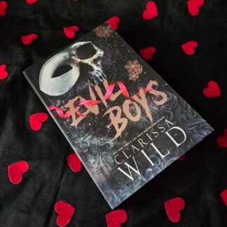 Evil Boys - Clarissa Wild